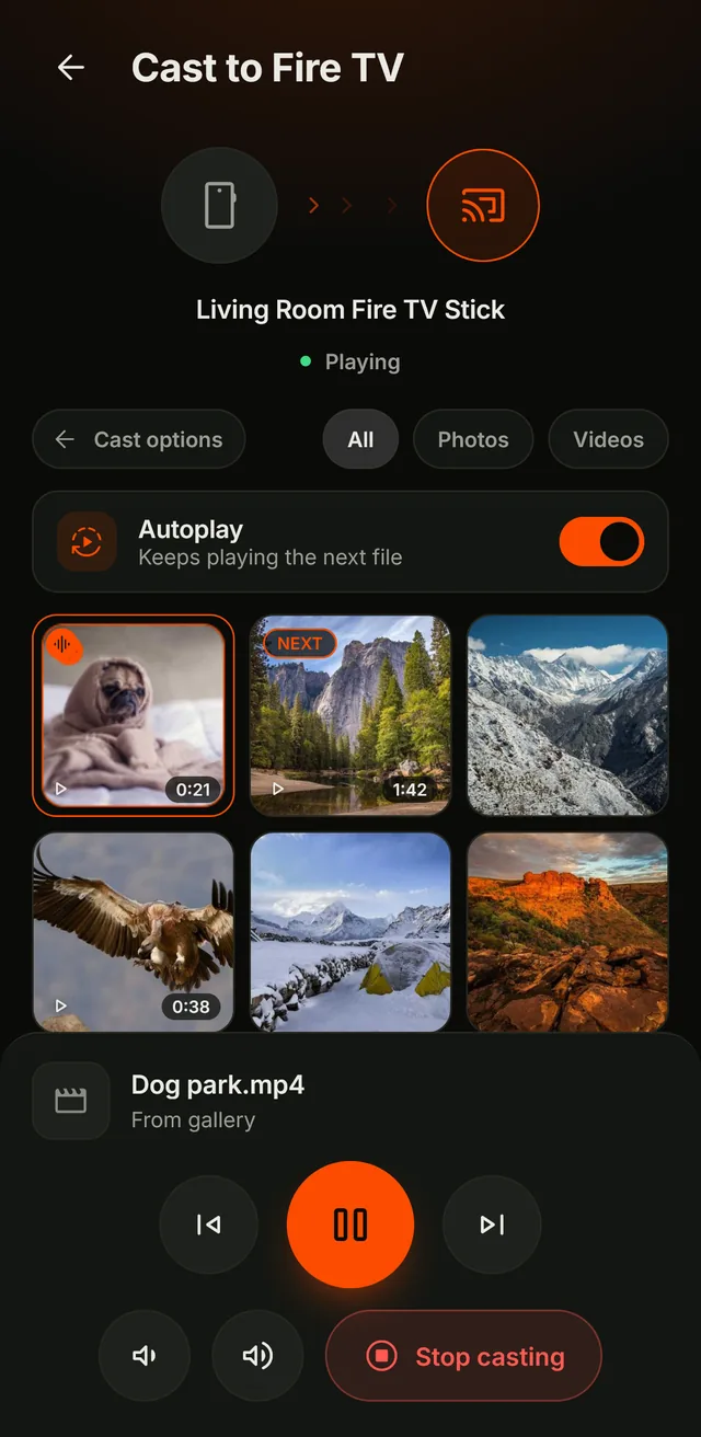 Casting photos and videos to Fire TV in FiRemote